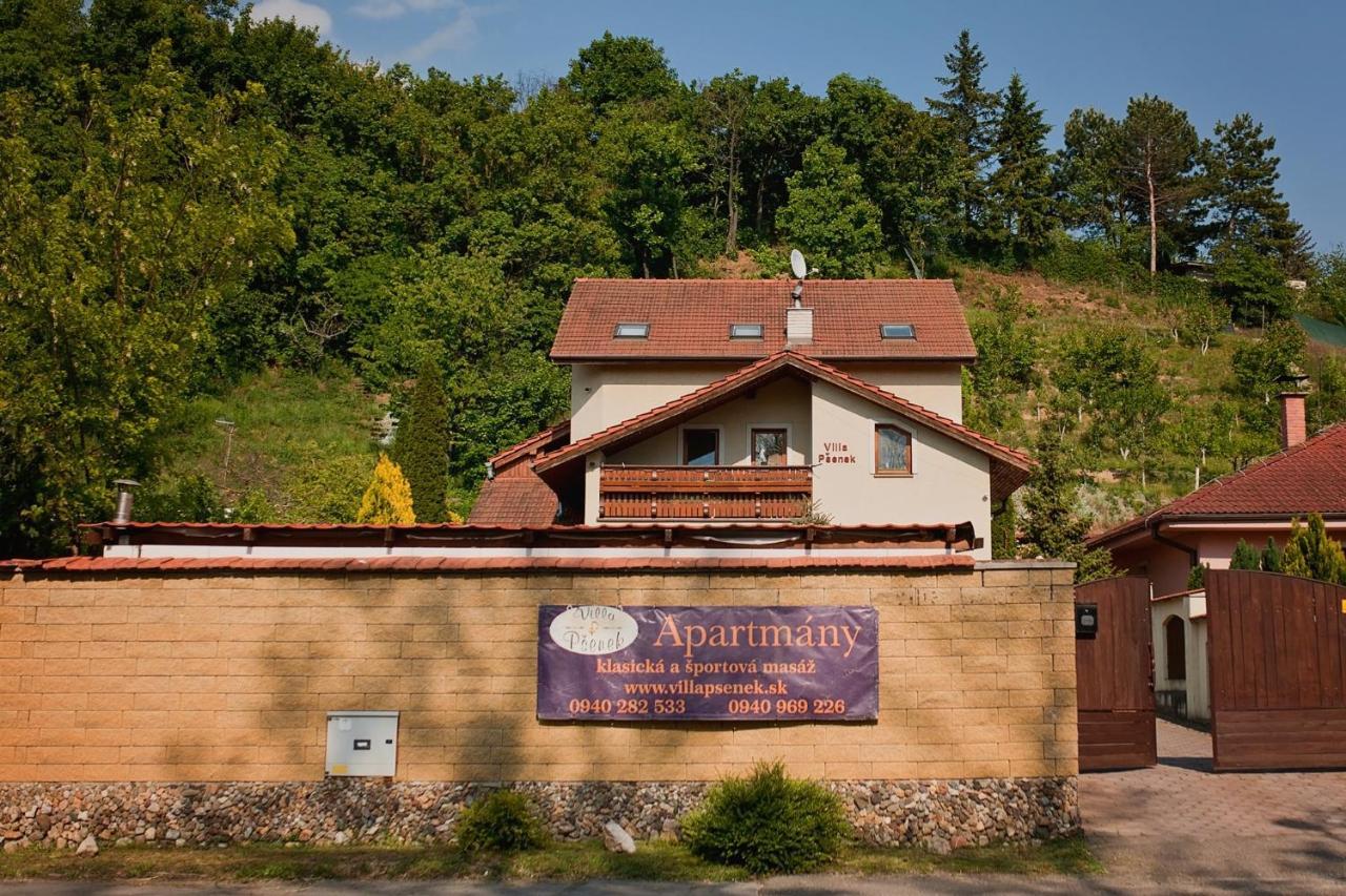 Banka Villa Psenek מראה חיצוני תמונה